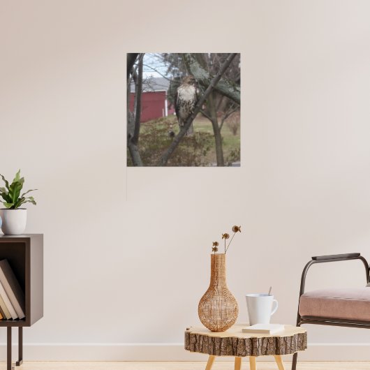 RoodstaartHawk in de boom Poster (Woonkamer 3)