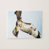 RoodstaartHawk in vliegfoto Legpuzzel (Horizontaal)