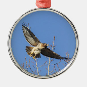 RoodstaartHawk Metalen Ornament