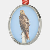 RoodstaartHawk Metalen Ornament (Links)