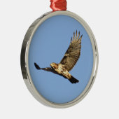 RoodstaartHawk Metalen Ornament (Rechts)