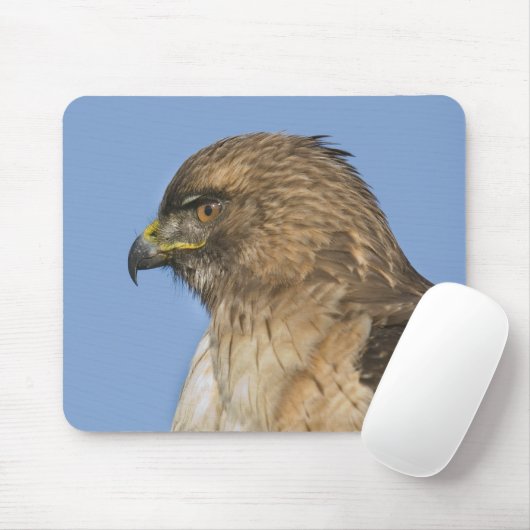 RoodstaartHawk Muismat (Met muis)