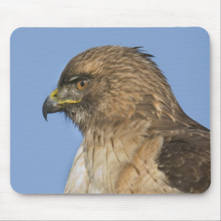 RoodstaartHawk Muismat