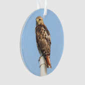 RoodstaartHawk Ornament (voorkant)