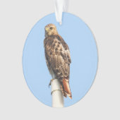 RoodstaartHawk Ornament (voorkant)