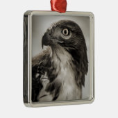 RoodstaartHawk Ornament (Rechts)