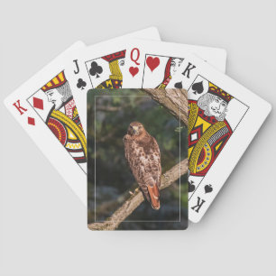 RoodstaartHawk Pokerkaarten