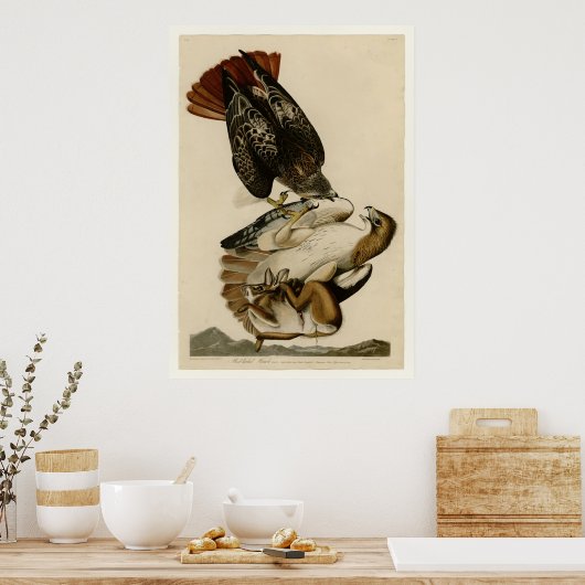 RoodstaartHawk Poster (Keuken)
