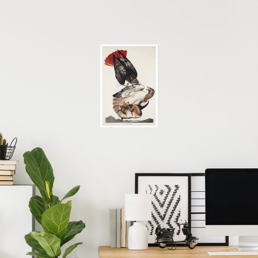 RoodstaartHawk van het Poster van Audubon (Thuiskantoor)