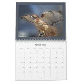 RoodstaartHawk Yarly Calendar Kalender (Mar 2027)