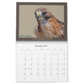 RoodstaartHawk Yarly Calendar Kalender (Jan 2027)