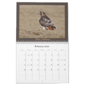 RoodstaartHawk Yarly Calendar Kalender (Feb 2026)