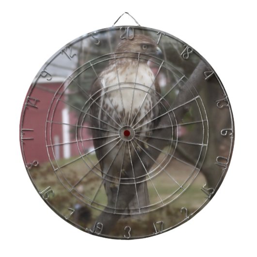 roodstaartpijpkarton dartbord (Voorkant)