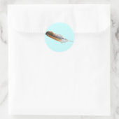 Roodstaartschelp Ronde Sticker (Tas)