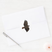 Roodstaartschets Ronde Sticker (Envelop)