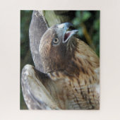 roodstaartsnavelraptordier legpuzzel (Verticaal)