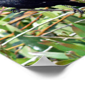 Roodvleugel Poster (Hoek)