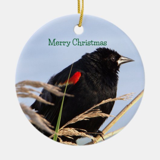 roodvleugelig merel Ornament (Voorkant)
