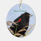roodvleugelig merel Ornament (Links)