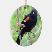 roodvleugelig merel Ornament (Rechts)