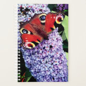 Roodvlinder Planner (Voorkant)
