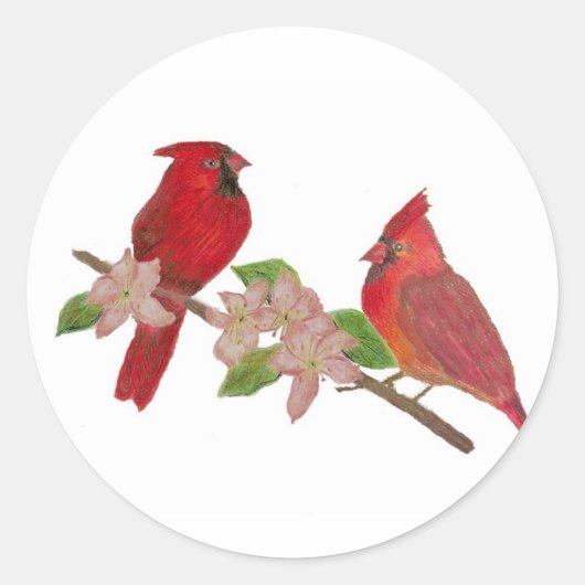 Roodvogels Ronde Sticker (Voorkant)