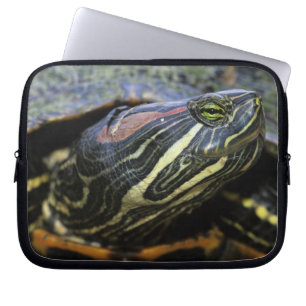 Roodwangschildpad, Trachemys scripta elegans, 2 Laptop Sleeve