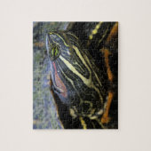 Roodwangschildpad, Trachemys scripta elegans, 2 Legpuzzel (Verticaal)
