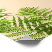 Roofdieren uit het Mesozoïcum Poster (Hoek)