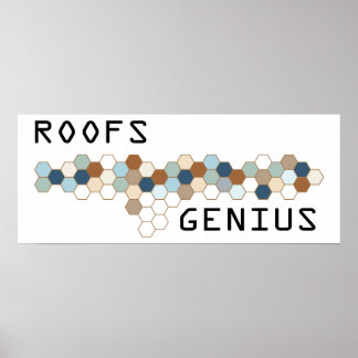 Roofs Genius Poster