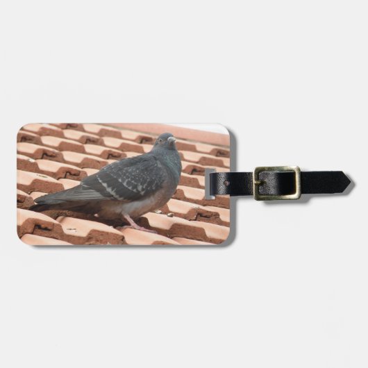 Rooftop Pigeon Custom Bagagelabel (Voorkant horizontaal)