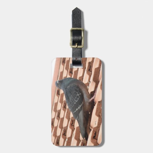 Rooftop Pigeon Custom Bagagelabel (Voorkant verticaal)