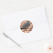 Rooftop Pigeon Sticker (Envelop)