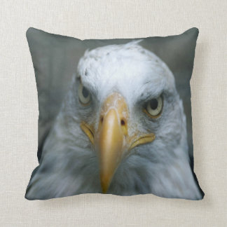 Roofvogel #21 - Amerikaanse zeearend Kussen