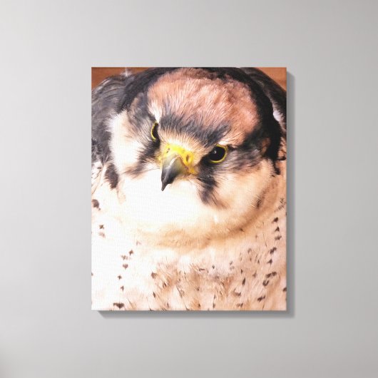 ROOFVOGEL FALCON CANVAS AFDRUK (Voorkant)