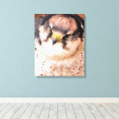 ROOFVOGEL FALCON CANVAS AFDRUK (Insitu (Houten vloer))