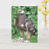 roofvogel kaart (Gele Bloem)