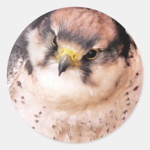 ROOFVOGEL RONDE STICKER