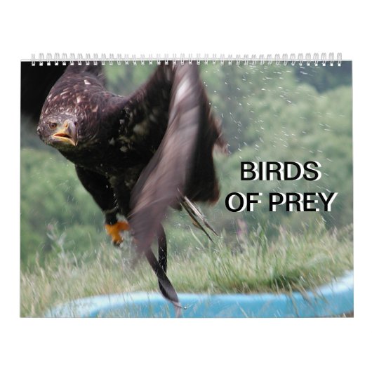 roofvogels 2024 kalender (Hoes)