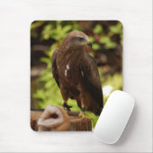 roofvogels muismat (Met muis)