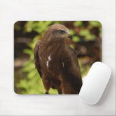 roofvogels muismat (Met muis)