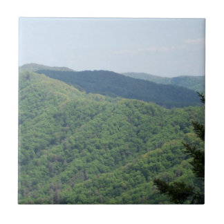 Rookgebergte Trivet Tegel 1 Tegeltje
