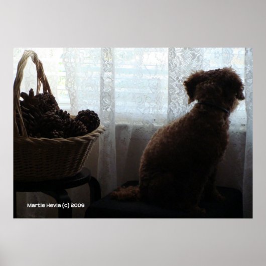 Rookie Waits Poster (Voorkant)