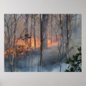 Rookrook Poster (Voorkant)