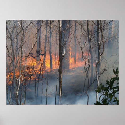 Rookrook Poster (Voorkant)