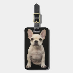 Roomkleurige Franse bulghpuppy Bagagelabel