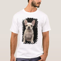 Roomkleurige Franse bulghpuppy