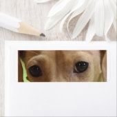 roomogen etiket (Insitu)