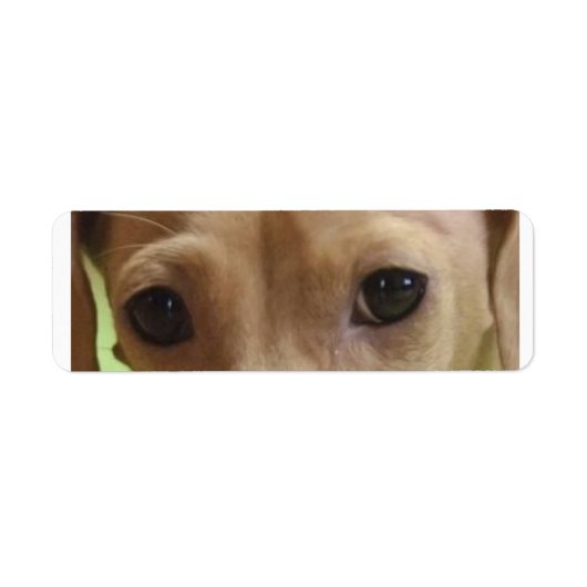 roomogen etiket (Voorkant)