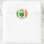 Rooney Irish Flag Ronde Sticker (Tas)